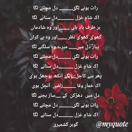 Quote by Altaf Gohar -  - Made using Quotes Creator App, Post Maker App