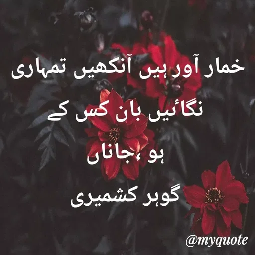 Quote by Altaf Gohar -  - Made using Quotes Creator App, Post Maker App