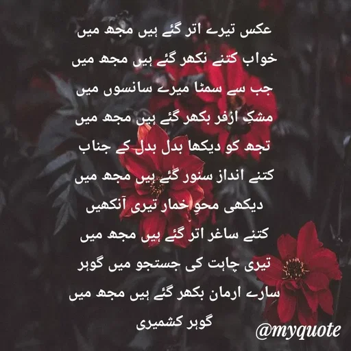 Quote by Altaf Gohar -  - Made using Quotes Creator App, Post Maker App