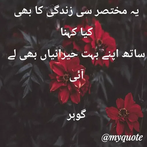 Quote by Altaf Gohar -  - Made using Quotes Creator App, Post Maker App