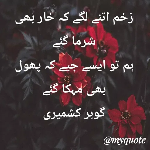 Quote by Altaf Gohar -  - Made using Quotes Creator App, Post Maker App
