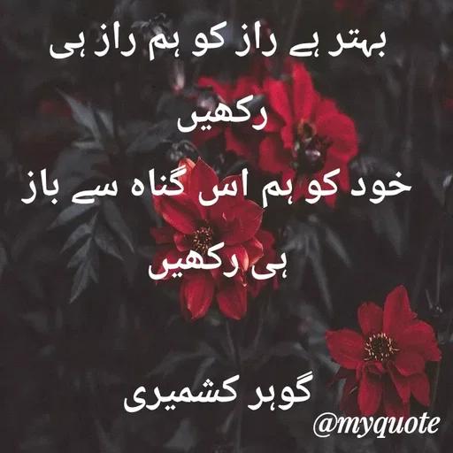 Quote by Altaf Gohar -  - Made using Quotes Creator App, Post Maker App