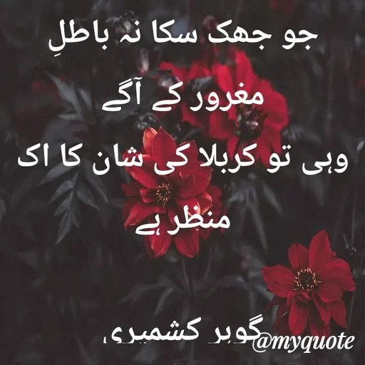 Quote by Altaf Gohar -  - Made using Quotes Creator App, Post Maker App