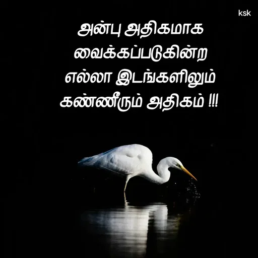 Quote by Ksk - அன்பு அதிகமாக
வைக்கப்படுகின்ற
எல்லா இடங்களிலும்
கண்ணீரும் அதிகம் !!!  - Made using Quotes Creator App, Post Maker App