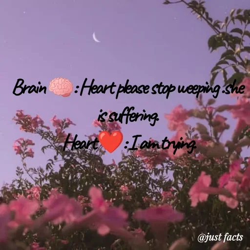 Quote by Life values _ experience 💯 - Brain 🧠: Heart please stop weeping .she is suffering.
 Heart ❤️: I am trying. - Made using Quotes Creator App, Post Maker App