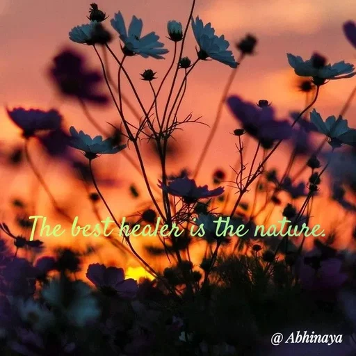 Quote by Life values _ experience 💯 - The best healer is the nature. - Made using Quotes Creator App, Post Maker App