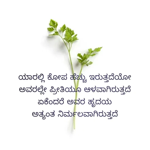Quote by thanseef -  - Made using Quotes Creator App, Post Maker App