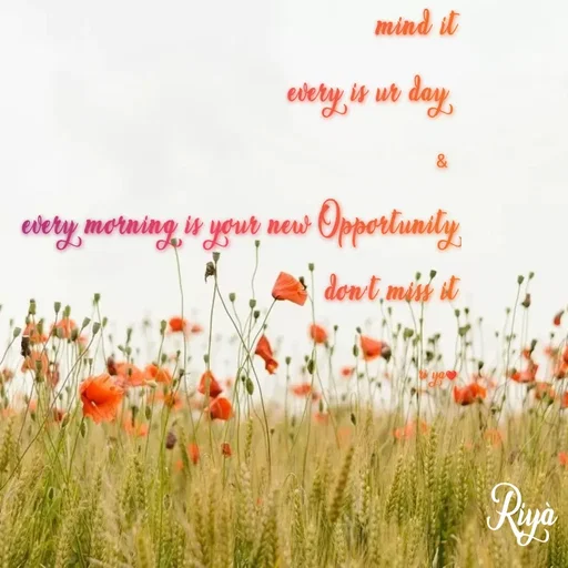 Quote by Riya Mondal - mind it
every is ur day 
& 
every morning is your new Opportunity
don't miss it

ri ya❤️ - Made using Quotes Creator App, Post Maker App