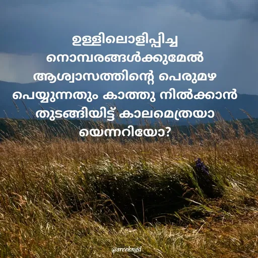 Quote by Sree -  - Made using Quotes Creator App, Post Maker App