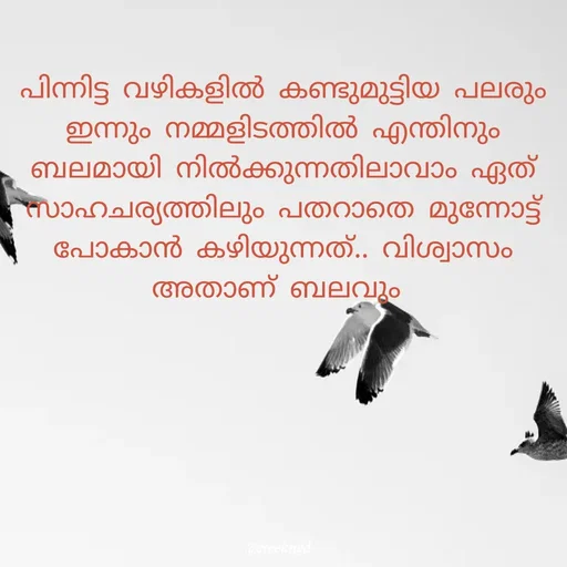 Quote by Sree -  - Made using Quotes Creator App, Post Maker App