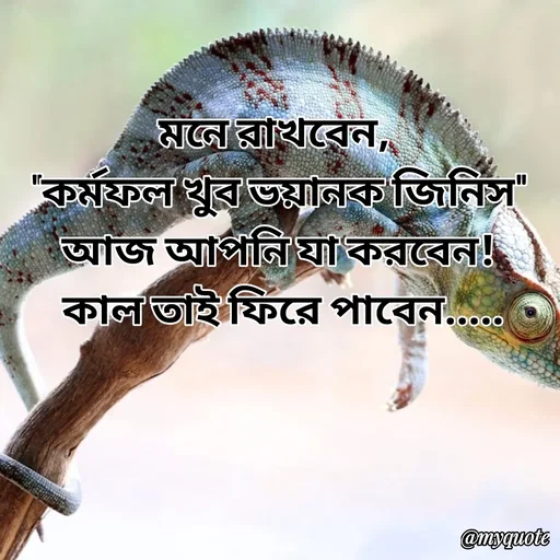 Quote by Sultan Mahmud - মনে রাখবেন, 
"কর্মফল খুব ভয়ানক জিনিস"
আজ আপনি যা করবেন!
 কাল তাই ফিরে পাবেন..... - Made using Quotes Creator App, Post Maker App