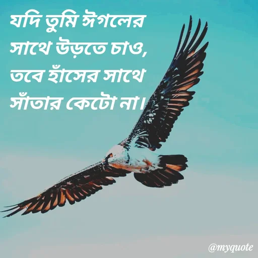 Quote by Sultan Mahmud - যদি তুমি ঈগলের 
সাথে উড়তে চাও,
তবে হাঁসের সাথে 
সাঁতার কেটো না। - Made using Quotes Creator App, Post Maker App