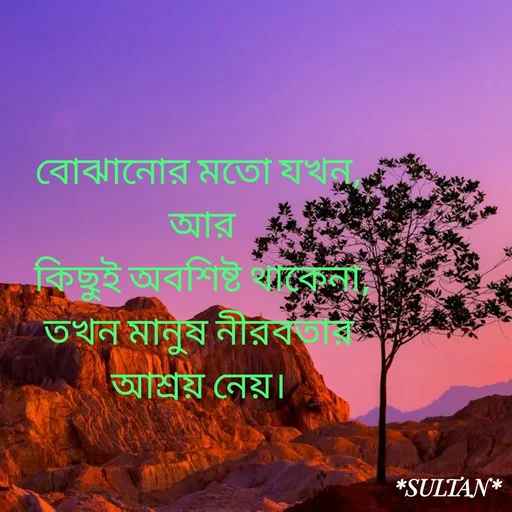 Quote by Sultan Mahmud - বোঝানোর মতো যখন, 
আর
 কিছুই অবশিষ্ট থাকেনা, 
তখন মানুষ নীরবতার 
আশ্রয় নেয়।  - Made using Quotes Creator App, Post Maker App