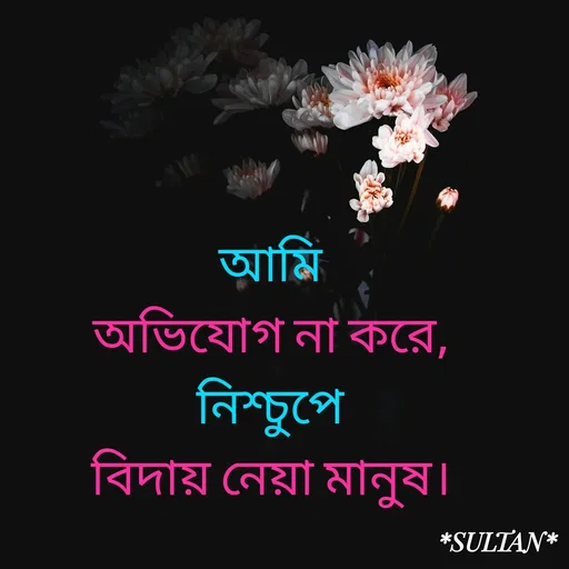 Quote by Sultan Mahmud - আমি
 অভিযোগ না করে, 
নিশ্চুপে
 বিদায় নেয়া মানুষ।  - Made using Quotes Creator App, Post Maker App