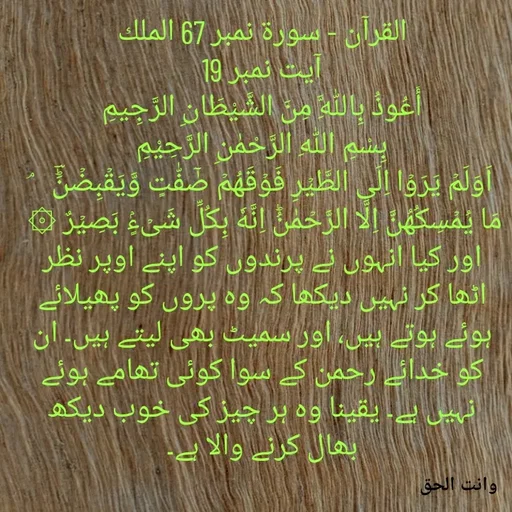Quote by Faisal qureshi -  - Made using Quotes Creator App, Post Maker App