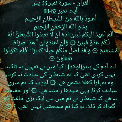 Quote by Faisal qureshi -  - Made using Quotes Creator App, Post Maker App