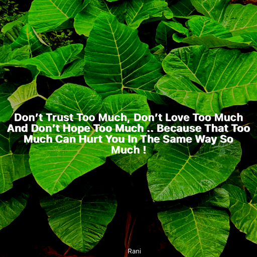 Quote by Rani Tharuni - Don’t Trust Too Much, Don’t Love Too Much And Don’t Hope Too Much .. Because That Too Much Can Hurt You In The Same Way So Much ! - Made using Quotes Creator App, Post Maker App