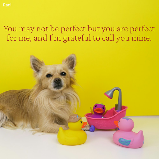 Quote by Rani Tharuni - You may not be perfect but you are perfect for me, and I’m grateful to call you mine. - Made using Quotes Creator App, Post Maker App