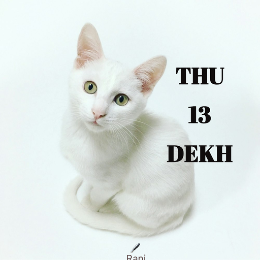 Quote by Rani Tharuni - THU 
13 
DEKH - Made using Quotes Creator App, Post Maker App