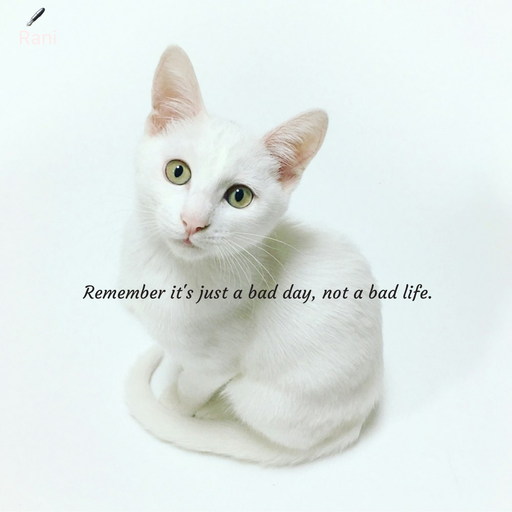 Quote by Rani Tharuni - Remember it's just a bad day, not a bad life. - Made using Quotes Creator App, Post Maker App