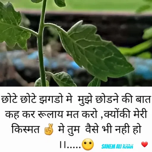 Quote by SANEM ALI KHAN - 

sanem ali khan  - Made using Quotes Creator App, Post Maker App