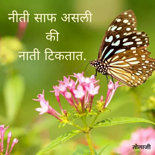 Quote by Vijay Bhorde - नीती साफ असली
की
नाती टिकतात.
तोलाजी
 - Made using Quotes Creator App, Post Maker App