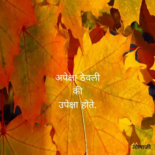 Quote by Vijay Bhorde - अपेक्षा ठेवली
की
उपेक्षा होते.
तोलाजी
 - Made using Quotes Creator App, Post Maker App