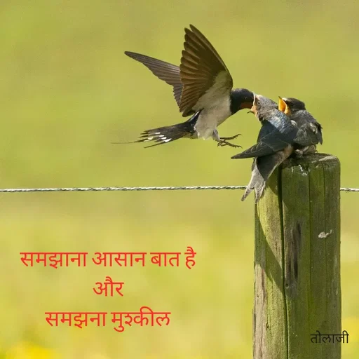 Quote by Vijay Bhorde - समझाना आसान बात है।
और
समझना मुश्कील
तोलाजी
 - Made using Quotes Creator App, Post Maker App