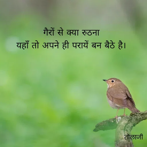 Quote by Vijay Bhorde - गैरों से क्या रुठना
यहाँ तो अपने ही परायें बन बैठे है।
तोलाजी
 - Made using Quotes Creator App, Post Maker App