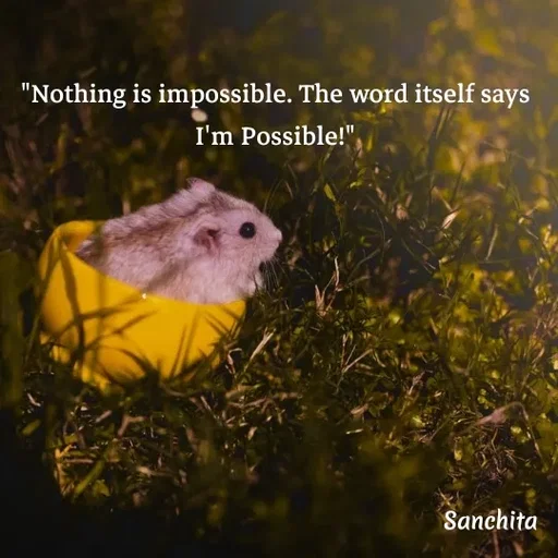 Quote by Suchisanchita Mohanty -  - Made using Quotes Creator App, Post Maker App