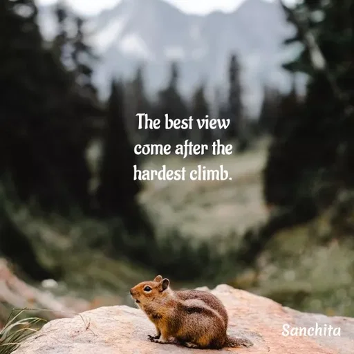 Quote by Suchisanchita Mohanty - The best view
come after the
hardest climb. - Made using Quotes Creator App, Post Maker App