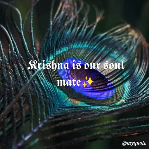 Quote by shining world🌸❄️ -  - Made using Quotes Creator App, Post Maker App