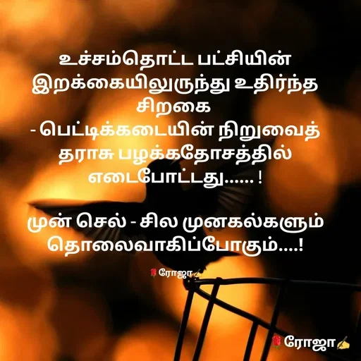 Quote by NIRO Niro -  - Made using Quotes Creator App, Post Maker App