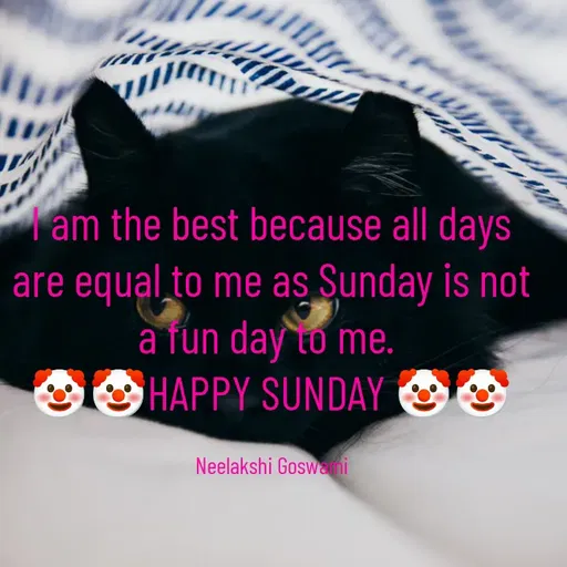 Quote by Neelakshi Goswami - I am the best because all days are equal to me as Sunday is not a fun day to me. 
🤡🤡HAPPY SUNDAY 🤡🤡

Neelakshi Goswami - Made using Quotes Creator App, Post Maker App