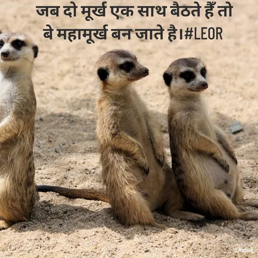 Quote by Aanjan - जब दो मूर्ख एक साथ बैठते हैँ तो
बे महामूर्ख बन जाते है।#LEOR  - Made using Quotes Creator App, Post Maker App