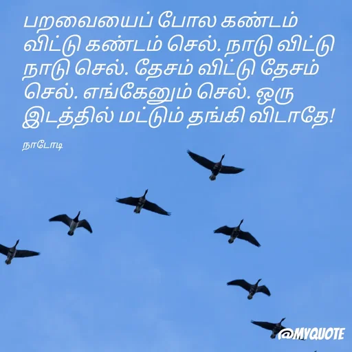 Quote by Purusothaman Ramaiah -  - Made using Quotes Creator App, Post Maker App