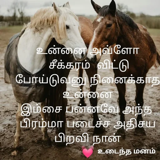 Quote by devi devi - உன்னை அவ்ளோ
 சீக்கரம்  விட்டு போய்டுவனு‌ நினைக்காத உன்னை
இம்சை பன்னவே அந்த 
பிரம்மா படைச்ச அதிசய
பிறவி நான்
💓 - Made using Quotes Creator App, Post Maker App