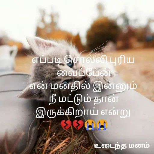 Quote by devi devi - எப்படி சொல்லி புரிய 
வைப்பேன்
என் மனதில் இன்னும் 
நீ மட்டும் தான்
இருக்கிறாய் என்று 
💔💔😭😭 - Made using Quotes Creator App, Post Maker App