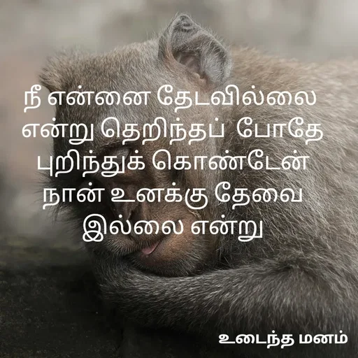 Quote by devi devi - நீ என்னை தேடவில்லை 
என்று தெறிந்தப்  போதே
புறிந்துக் கொண்டேன்
நான் உனக்கு தேவை இல்லை என்று - Made using Quotes Creator App, Post Maker App