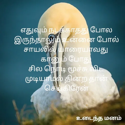 Quote by devi devi - எதுவும் நடக்காதது போல
இருந்தாலும் உன்னை போல்
சாயலில் யாரையாவது 
கானும் போது 
சில நொடி மூச்சு விட 
முடியாமல் தினற தான் செய்கிரேன் - Made using Quotes Creator App, Post Maker App