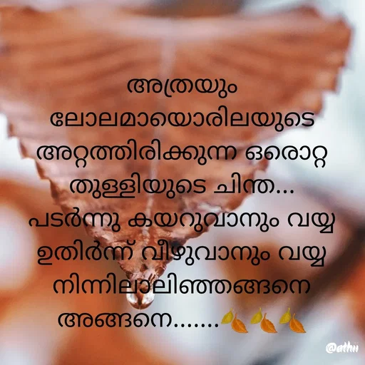 Quote by Athira - അത്രയും ലോലമായൊരിലയുടെ അറ്റത്തിരിക്കുന്ന ഒരൊറ്റ തുള്ളിയുടെ ചിന്ത...
പടർന്നു കയറുവാനും വയ്യ ഉതിർന്ന് വീഴുവാനും വയ്യ നിന്നിലാലിഞ്ഞങ്ങനെ അങ്ങനെ.......🍂🍂🍂 - Made using Quotes Creator App, Post Maker App
