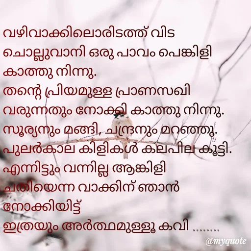 Quote by Athira - വഴിവാക്കിലൊരിടത്ത്‌ വിട ചൊല്ലുവാനി ഒരു പാവം പെങ്കിളി കാത്തു നിന്നു.
തന്റെ പ്രിയമുള്ള പ്രാണസഖി വരുന്നതും നോക്കി കാത്തു നിന്നു.
സൂര്യനും മങ്ങി, ചന്ദ്രനും മറഞ്ഞു.
പുലർകാല കിളികൾ കലപില കൂട്ടി.
എന്നിട്ടും വന്നില്ല ആങ്കിളി
ചതിയെന്ന വാക്കിന് ഞാൻ നോക്കിയിട്ട്
ഇത്രയും അർത്ഥമുള്ളൂ കവി ........


 - Made using Quotes Creator App, Post Maker App