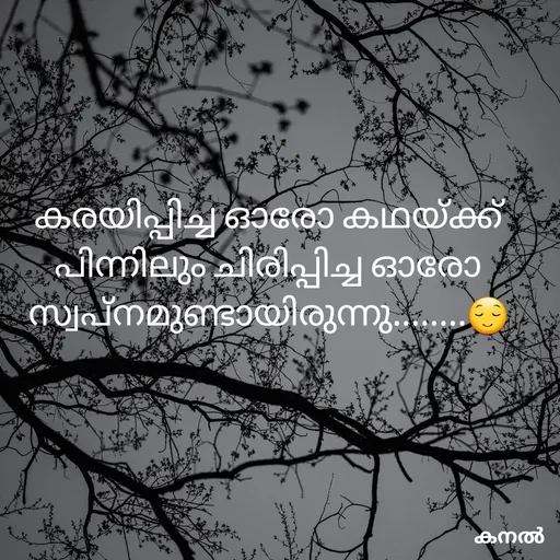 Quote by Athira - കരയിപ്പിച്ച ഓരോ കഥയ്ക്ക് പിന്നിലും ചിരിപ്പിച്ച ഓരോ സ്വപ്നമുണ്ടായിരുന്നു........😌 - Made using Quotes Creator App, Post Maker App