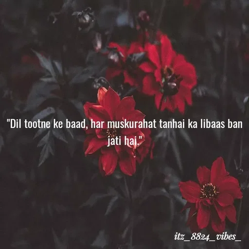 Quote by itz_8824_vibes_ - "Dil tootne ke baad, har muskurahat tanhai ka libaas ban jati hai." - Made using Quotes Creator App, Post Maker App