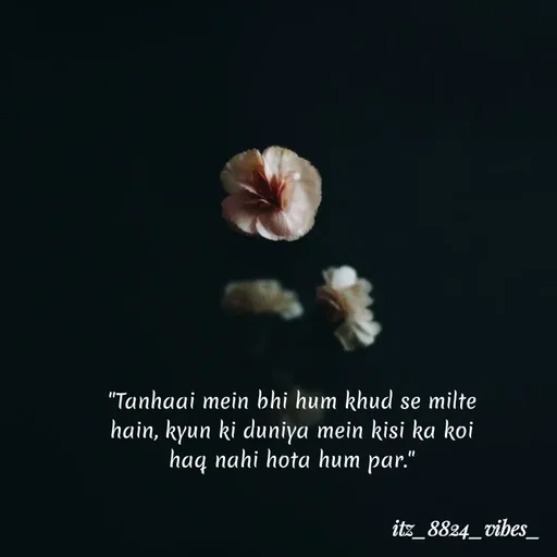 Quote by itz_8824_vibes_ - "Tanhaai mein bhi hum khud se milte hain, kyun ki duniya mein kisi ka koi haq nahi hota hum par." - Made using Quotes Creator App, Post Maker App