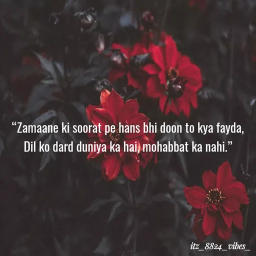 Quote by itz_8824_vibes_ - “Zamaane ki soorat pe hans bhi doon to kya fayda,
Dil ko dard duniya ka hai, mohabbat ka nahi.” - Made using Quotes Creator App, Post Maker App