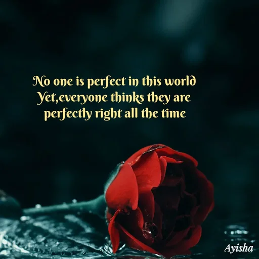 Quote by Ayisha Diaries - No one is perfect in this world 
Yet,everyone thinks they are 
perfectly right all the time  - Made using Quotes Creator App, Post Maker App