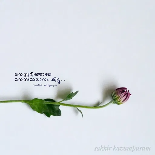 Quote by Sakkir kavumpuram -  - Made using Quotes Creator App, Post Maker App