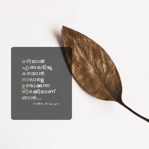 Quote by Sakkir kavumpuram - മരിച്ചാൽ 
എങ്ങലടിച്ചു കരയാൻ 
നാലാളെ ഉണ്ടാക്കുന്ന 
തിരക്കിലാണ് ഞാൻ...
സക്കീർ കാവുംപുറം  - Made using Quotes Creator App, Post Maker App