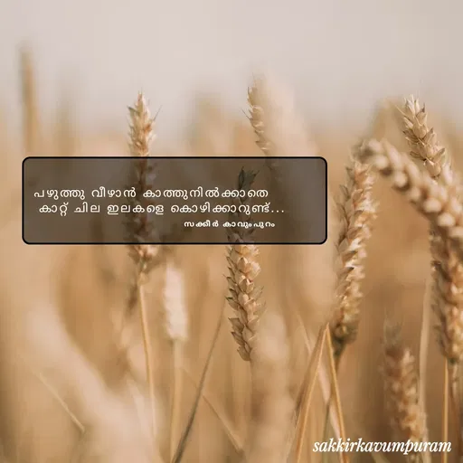 Quote by Sakkir kavumpuram -  - Made using Quotes Creator App, Post Maker App